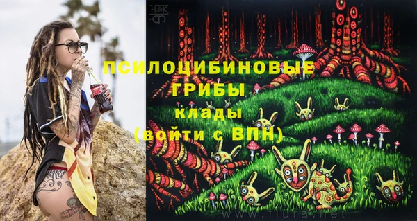 a pvp Абинск